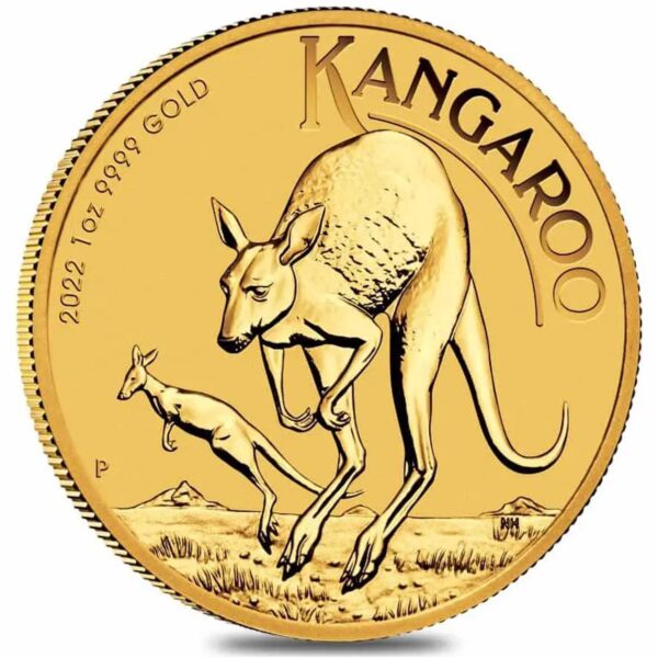 1oz Australian Gold Kangaroo Gold Coin - Random Year